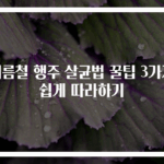 여름철 행주 살균법 꿀팁 3가지 쉽게 따라하기