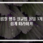 여름철 행주 살균법 꿀팁 3가지 쉽게 따라하기