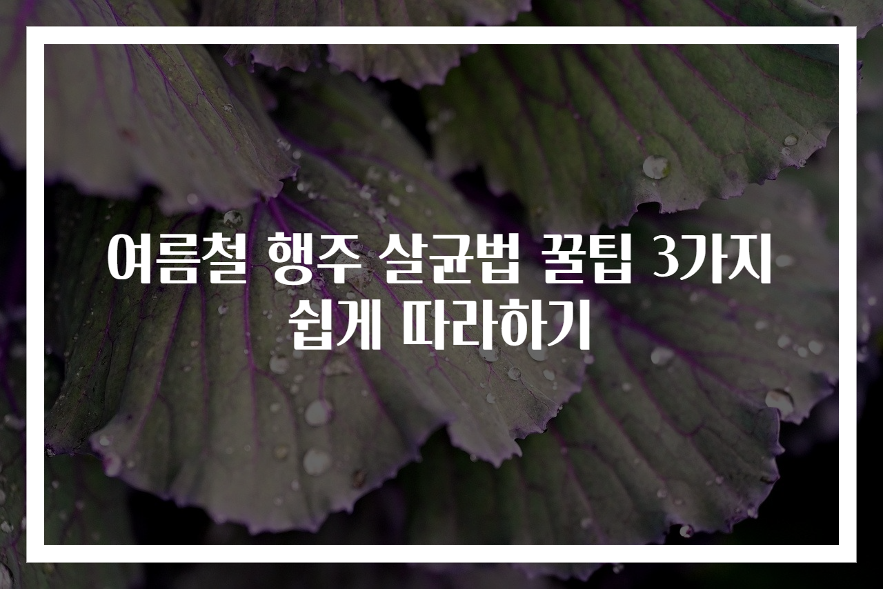 여름철 행주 살균법 꿀팁 3가지 쉽게 따라하기