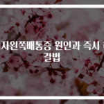 여자왼쪽배통증 원인과 즉시 해결법