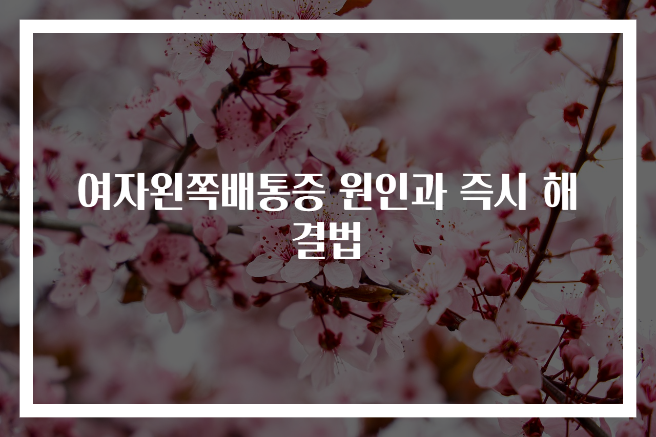 여자왼쪽배통증 원인과 즉시 해결법