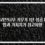 올리브나무 키우기 1년 성공 비법과 가지치기 참고사항