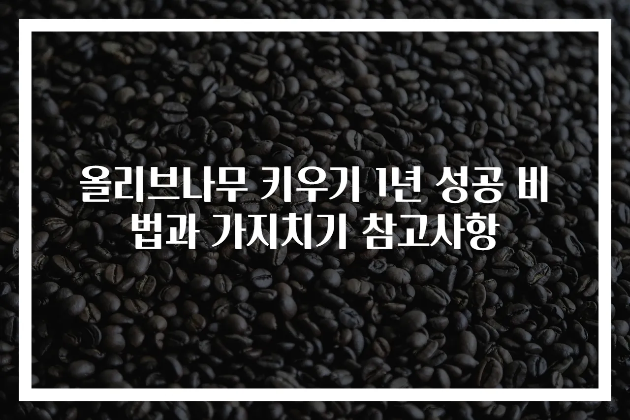 올리브나무 키우기 1년 성공 비법과 가지치기 참고사항