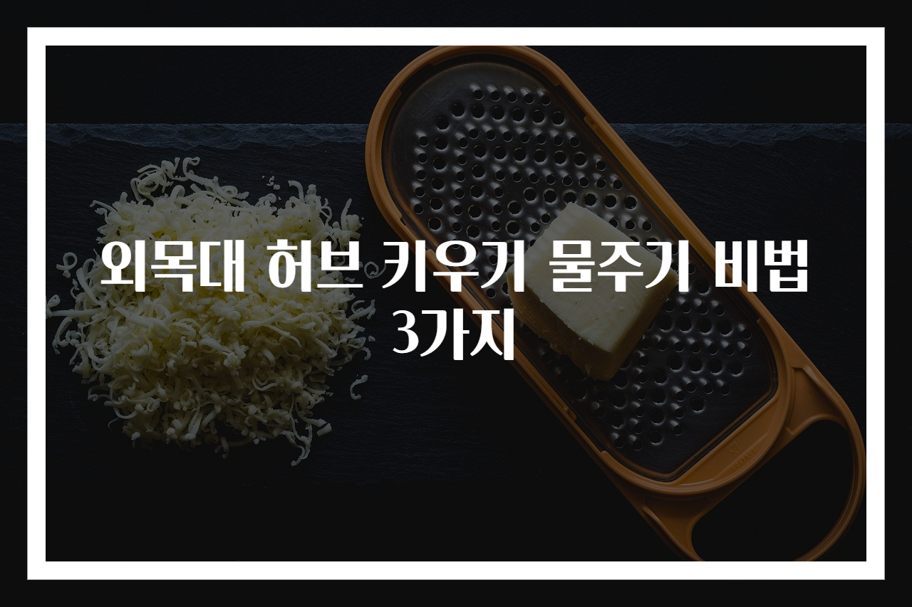 외목대 허브 키우기 물주기 비법 3가지