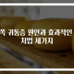 왼쪽 귀통증 원인과 효과적인 대처법 세가지