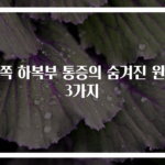 왼쪽 하복부 통증의 숨겨진 원인 3가지