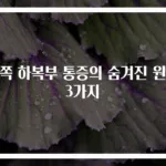 왼쪽 하복부 통증의 숨겨진 원인 3가지