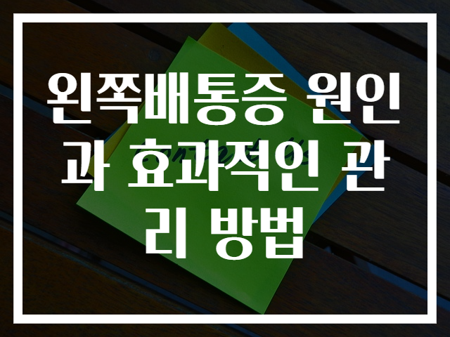 왼쪽배통증 원인과 효과적인 관리 방법