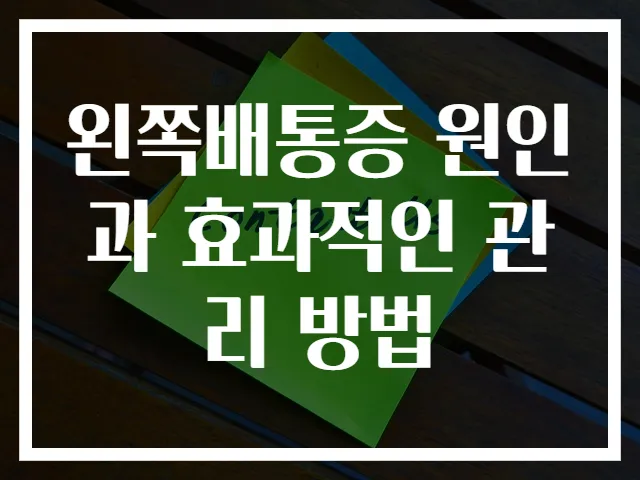 왼쪽배통증 원인과 효과적인 관리 방법
