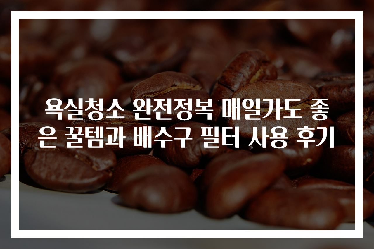 욕실청소 완전정복 매일가도 좋은 꿀템과 배수구 필터 사용 후기