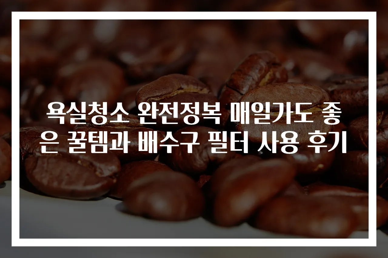 욕실청소 완전정복 매일가도 좋은 꿀템과 배수구 필터 사용 후기