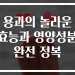 용과의 놀라운 효능과 영양성분 완전 정복