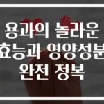 용과의 놀라운 효능과 영양성분 완전 정복