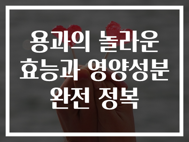 용과의 놀라운 효능과 영양성분 완전 정복