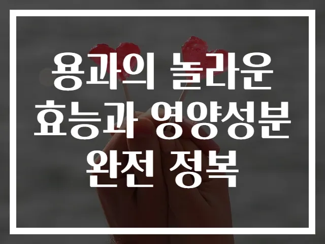 용과의 놀라운 효능과 영양성분 완전 정복