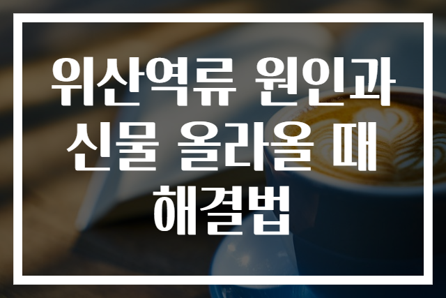 위산역류 원인과 신물 올라올 때 해결법