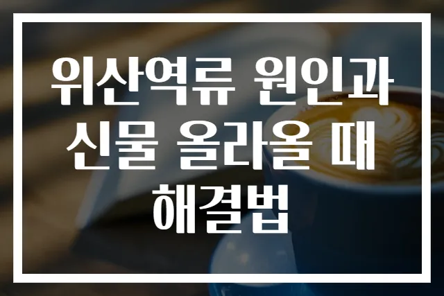 위산역류 원인과 신물 올라올 때 해결법