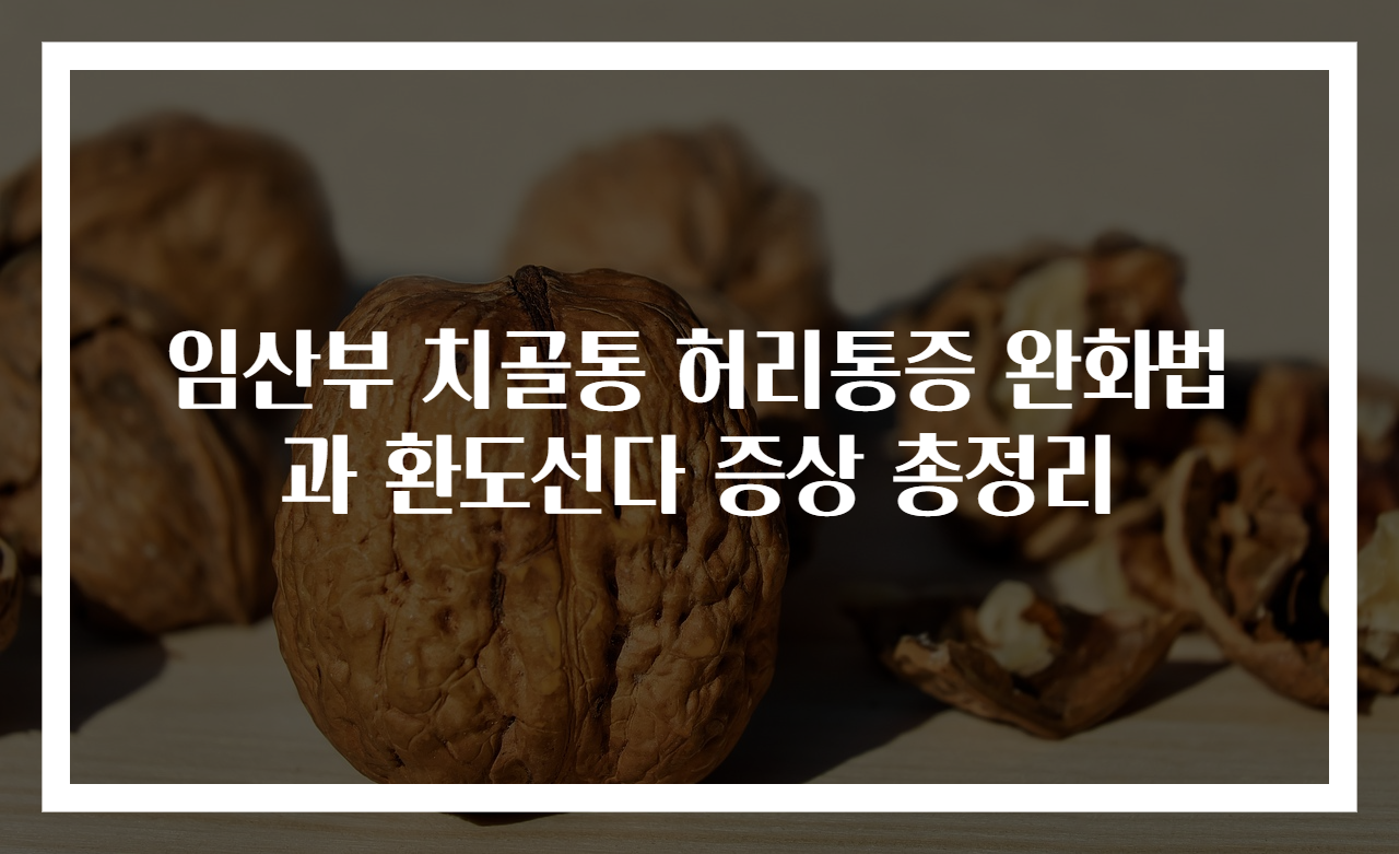 임산부 치골통 허리통증 완화법과 환도선다 증상 총정리