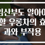 임산부도 알아야 할 우롱차의 효과와 부작용