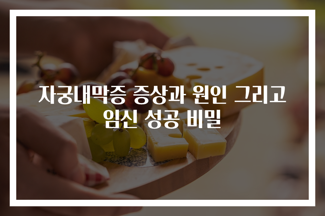 자궁내막증 증상과 원인 그리고 임신 성공 비밀