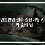 자연분만맘 필수 출산가방 리스트와 준비 팁