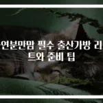자연분만맘 필수 출산가방 리스트와 준비 팁