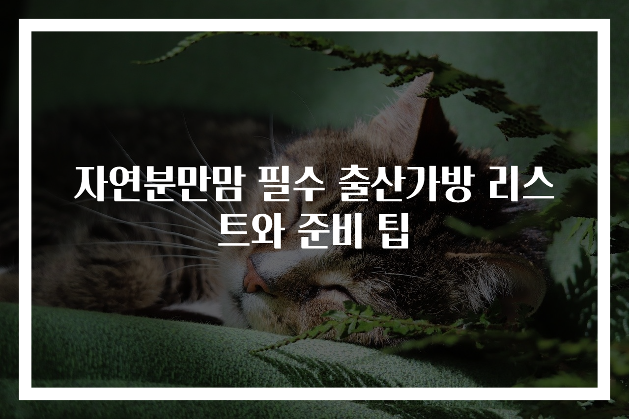 자연분만맘 필수 출산가방 리스트와 준비 팁