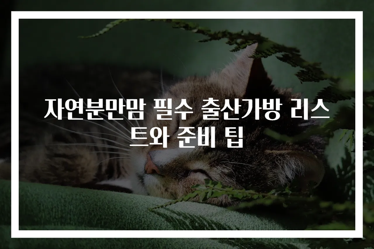 자연분만맘 필수 출산가방 리스트와 준비 팁