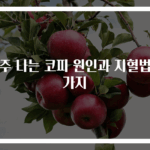 자주 나는 코피 원인과 지혈법 5가지