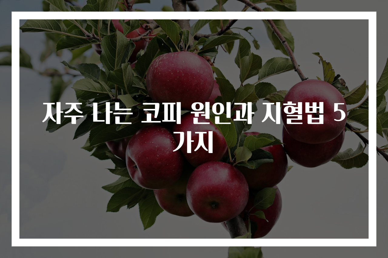 자주 나는 코피 원인과 지혈법 5가지