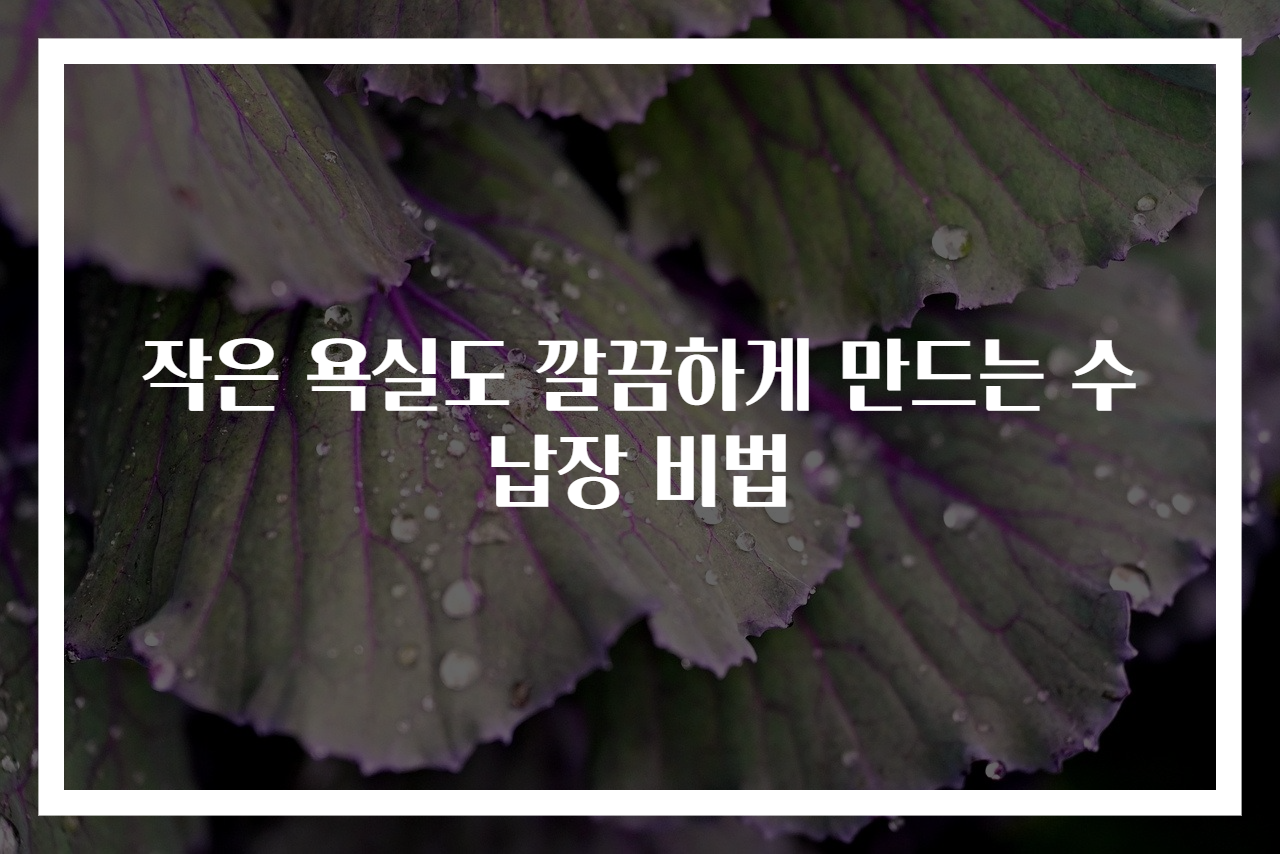 작은 욕실도 깔끔하게 만드는 수납장 비법