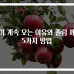 잠이 계속 오는 이유와 졸림 깨는 5가지 방법