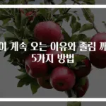 잠이 계속 오는 이유와 졸림 깨는 5가지 방법