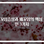 장꼬임증상과 배꼬임의 핵심 원인 3가지