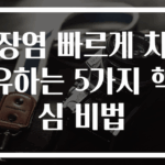 장염 빠르게 치유하는 5가지 핵심 비법