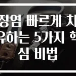 장염 빠르게 치유하는 5가지 핵심 비법