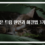 잦은 트림 원인과 해결법 3가지