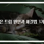 잦은 트림 원인과 해결법 3가지