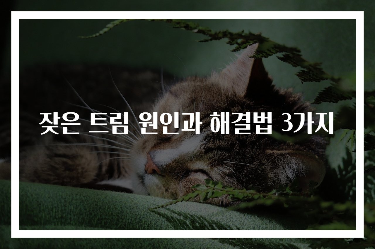 잦은 트림 원인과 해결법 3가지