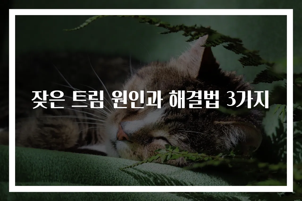 잦은 트림 원인과 해결법 3가지