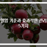 저혈압 기준과 효과적인 관리법 5가지