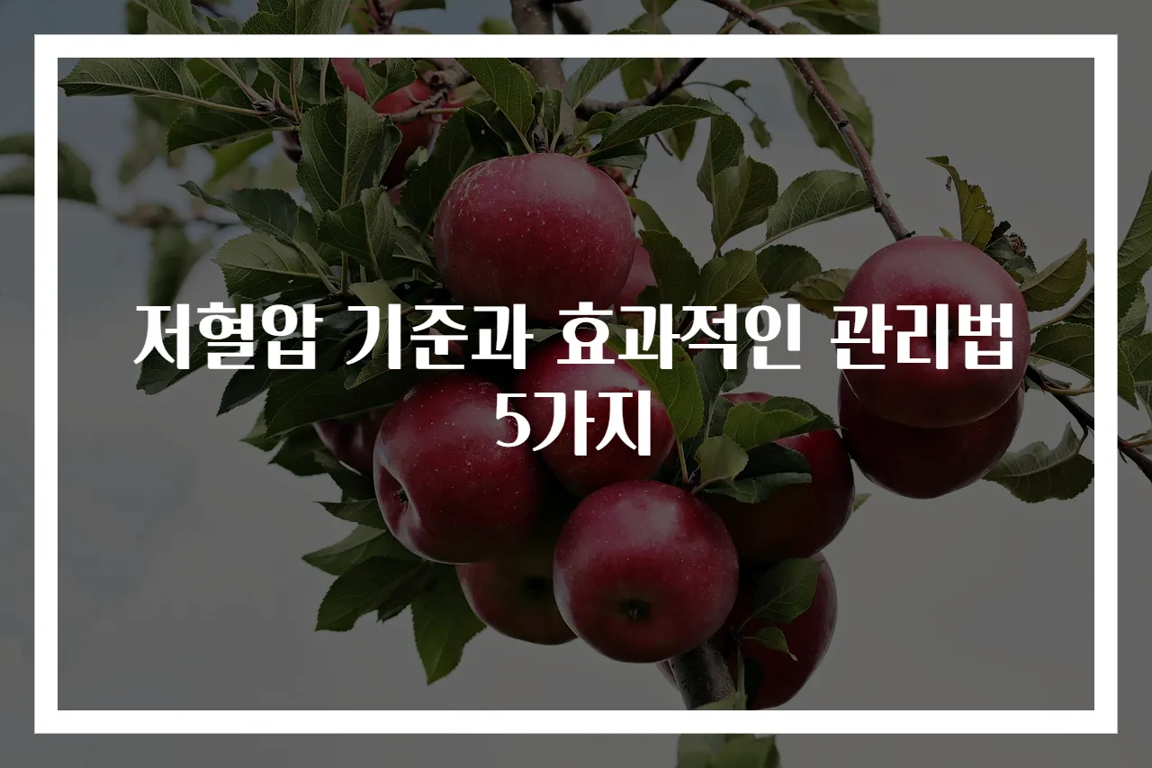 저혈압 기준과 효과적인 관리법 5가지