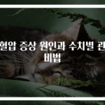 저혈압 증상 원인과 수치별 관리 비법