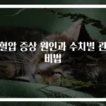 저혈압 증상 원인과 수치별 관리 비법