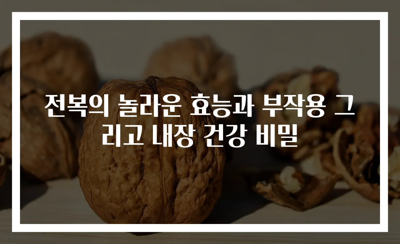 전복의 놀라운 효능과 부작용 그리고 내장 건강 비밀