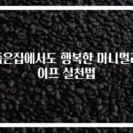 좁은집에서도 행복한 미니멀라이프 실천법