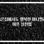 좁은집에서도 행복한 미니멀라이프 실천법