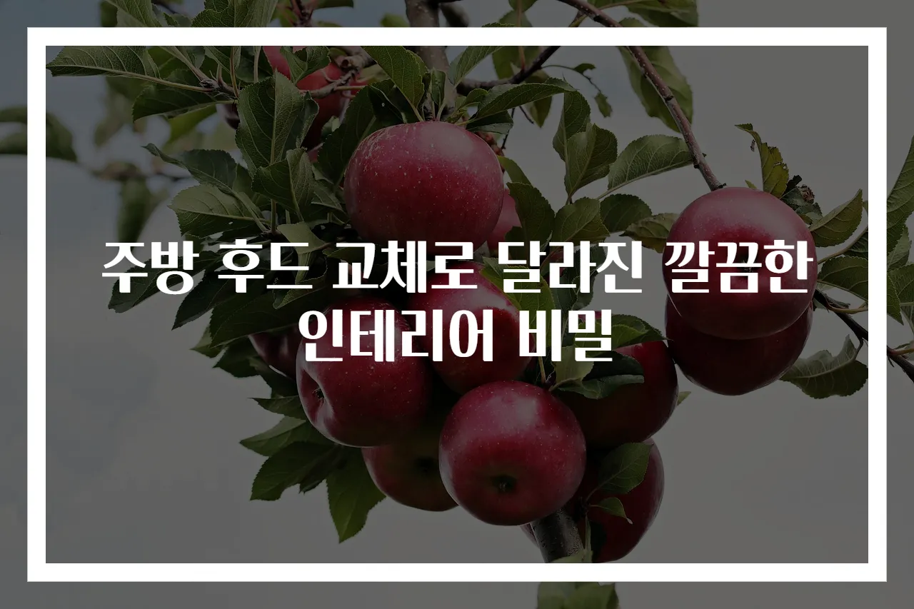 주방 후드 교체로 달라진 깔끔한 인테리어 비밀