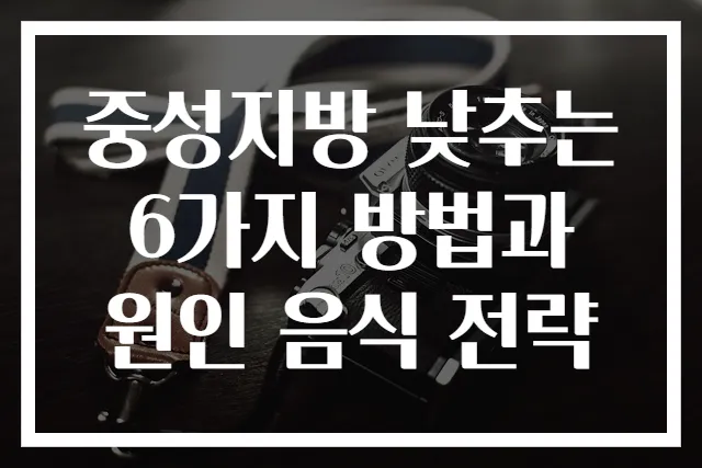 중성지방 낮추는 6가지 방법과 원인 음식 전략