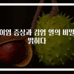 중이염 증상과 감염 열의 비밀을 밝히다